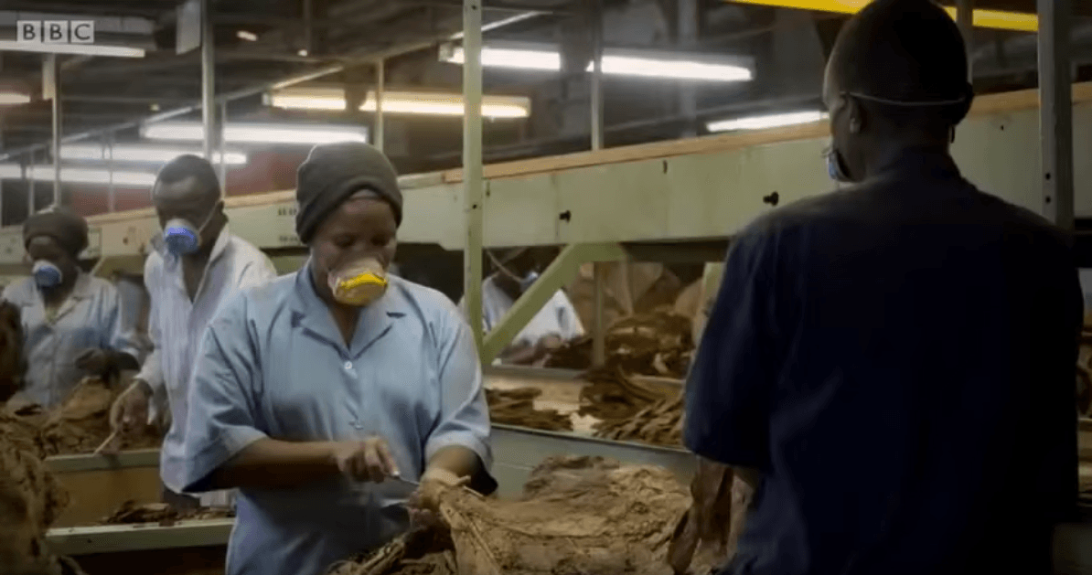 bbc-secret-bribes-of-big-tobacco