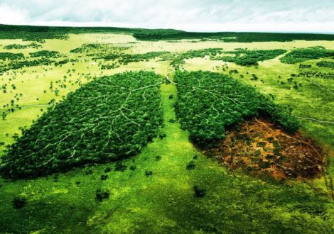 L&rsquo;industrie du tabac, nuisible à  l&rsquo;environnement