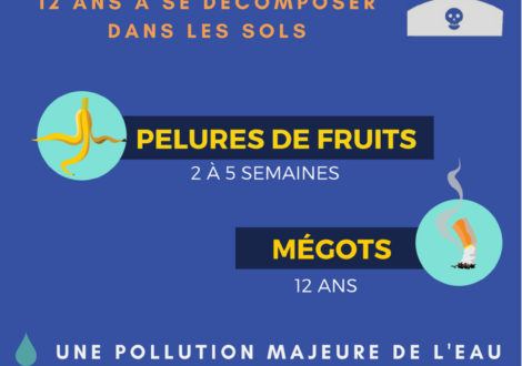 Le mégot, ennemi de l&rsquo;environnement