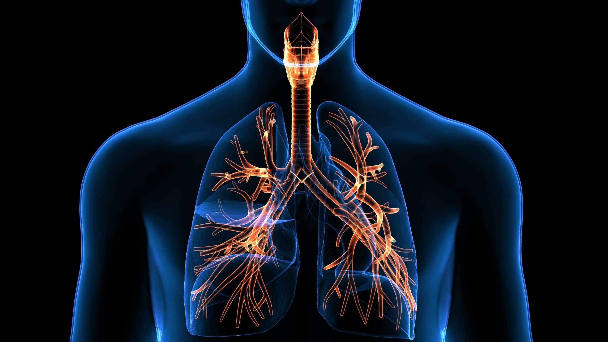 appareil-respiratoire-risques-tabac