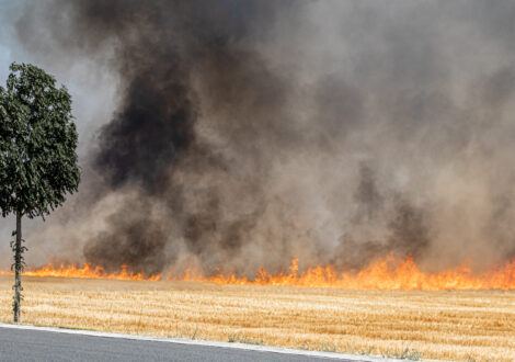 Incendies : le CNCT soutient la proposition de loi de Yannick Neuder pour faire payer les cigarettiers