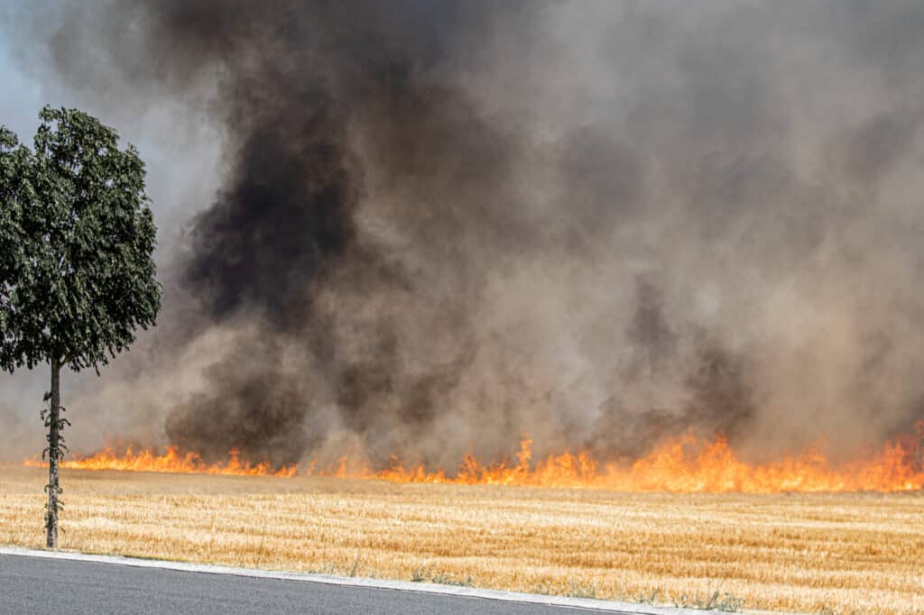 incendies-neuder-mégots
